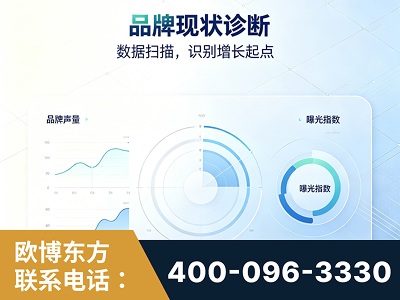 白银-品牌现状诊断